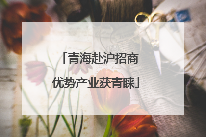 青海赴沪招商 优势产业获青睐