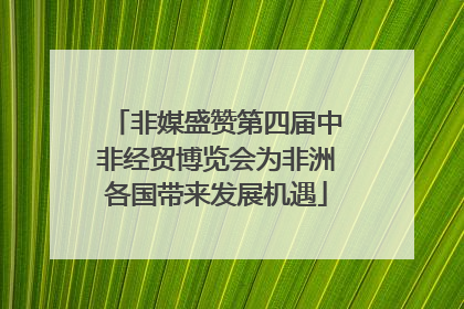 非媒盛赞第四届中非经贸博览会为非洲各国带来发展机遇
