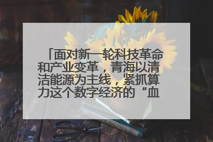 面对新一轮科技革命和产业变革,青海以清洁能源为主线,紧抓算力这个数字经济的“血液”、科技主权的“筹码”、产业升级的“杠杆”、绿色转型的“支点”,勇于撬动国家“双碳”战略、“东数西算”工程重大发展新机遇,点亮绿色算电协同新赛道,蹚出一条符合本地实际的高质量发展之路——青海:“绿色算力” 锚定“东数西算”国家战略布局