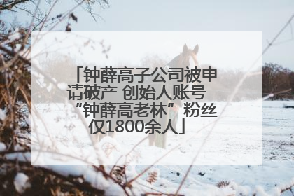 钟薛高子公司被申请破产 创始人账号“钟薛高老林”粉丝仅1800余人
