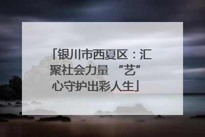 银川市西夏区：汇聚社会力量 “艺”心守护出彩人生