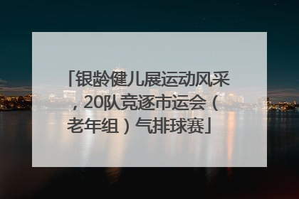 银龄健儿展运动风采，20队竞逐市运会（老年组）气排球赛