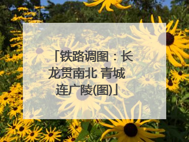 铁路调图：长龙贯南北 青城连广陵(图)