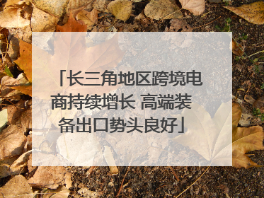 长三角地区跨境电商持续增长 高端装备出口势头良好