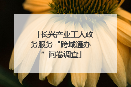 长兴产业工人政务服务“跨域通办”问卷调查