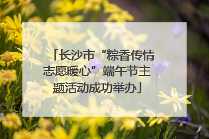 长沙市“粽香传情志愿暖心”端午节主题活动成功举办