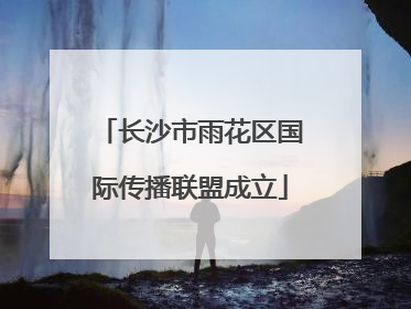 长沙市雨花区国际传播联盟成立