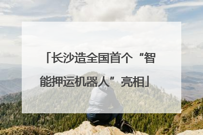 长沙造全国首个“智能押运机器人”亮相