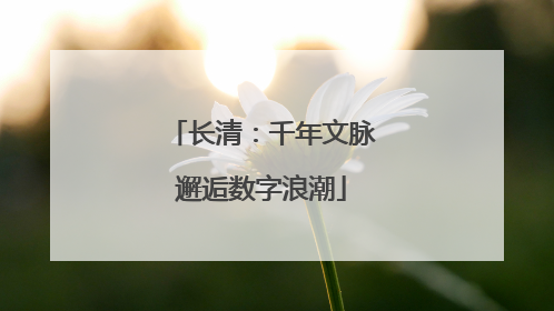 长清：千年文脉邂逅数字浪潮