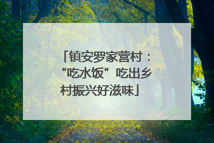 镇安罗家营村：“吃水饭”吃出乡村振兴好滋味