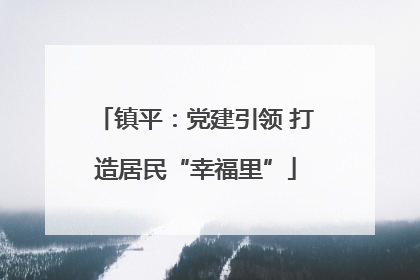 镇平：党建引领 打造居民“幸福里”