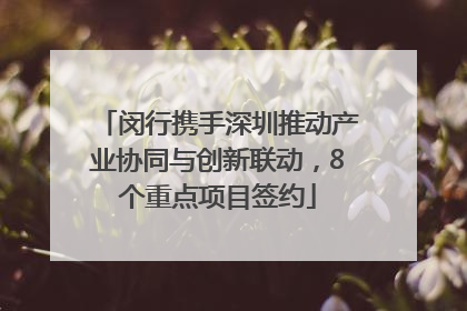 闵行携手深圳推动产业协同与创新联动，8个重点项目签约