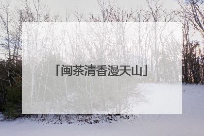 闽茶清香漫天山
