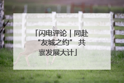 闪电评论｜同赴“友城之约” 共襄发展大计