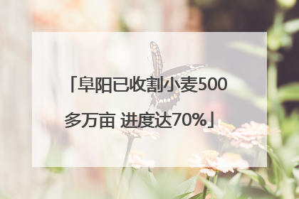 阜阳已收割小麦500多万亩 进度达70%
