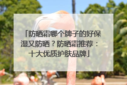 防晒霜哪个牌子的好保湿又防晒？防晒霜推荐：十大优质护肤品牌