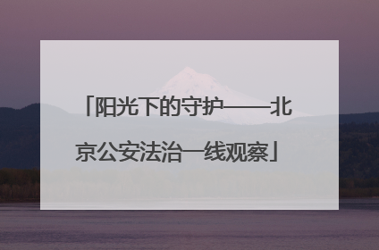 阳光下的守护——北京公安法治一线观察