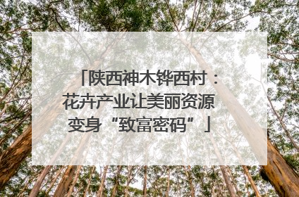 陕西神木铧西村：花卉产业让美丽资源变身“致富密码”
