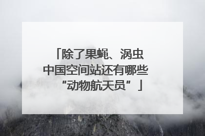 除了果蝇、涡虫 中国空间站还有哪些“动物航天员”