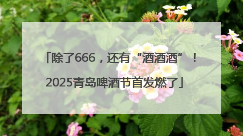 除了666,还有“酒酒酒”!2025青岛啤酒节首发燃了