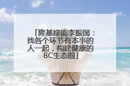 隆基绿能李振国：找各个环节有本事的人一起，构建健康的BC生态圈