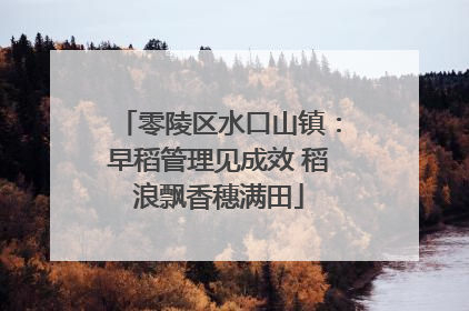 零陵区水口山镇：早稻管理见成效 稻浪飘香穗满田