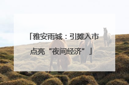雅安雨城：引摊入市 点亮“夜间经济”