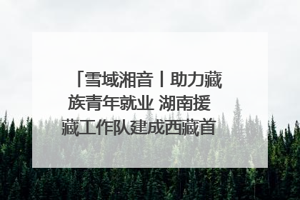 雪域湘音丨助力藏族青年就业 湖南援藏工作队建成西藏首个清洁能源装备园
