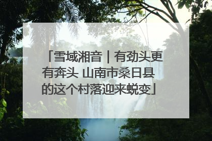 雪域湘音｜有劲头更有奔头 山南市桑日县的这个村落迎来蜕变