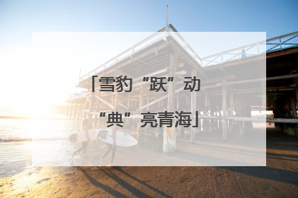 雪豹“跃”动 “典”亮青海