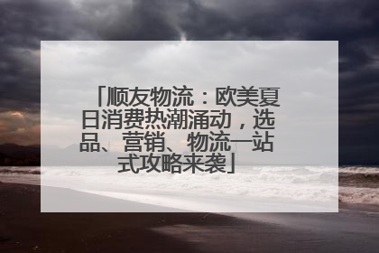 顺友物流：欧美夏日消费热潮涌动，选品、营销、物流一站式攻略来袭
