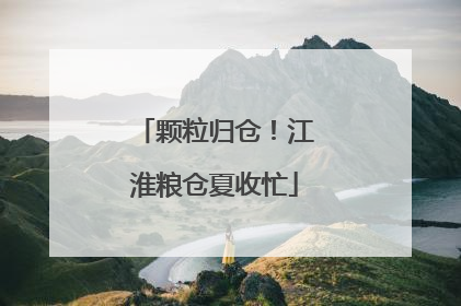 颗粒归仓！江淮粮仓夏收忙
