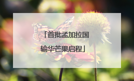 首批孟加拉国输华芒果启程