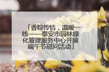 香粽传情，温暖一线——泰安市园林绿化管理服务中心开展端午节慰问活动