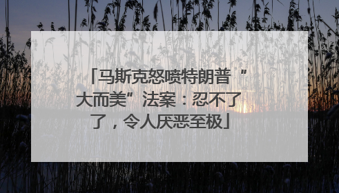 马斯克怒喷特朗普“大而美”法案：忍不了了，令人厌恶至极