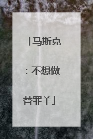 马斯克：不想做替罪羊