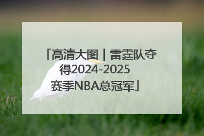 高清大图｜雷霆队夺得2024-2025赛季NBA总冠军