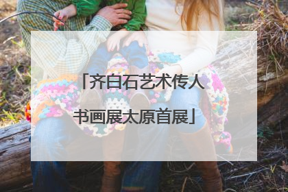 齐白石艺术传人书画展太原首展