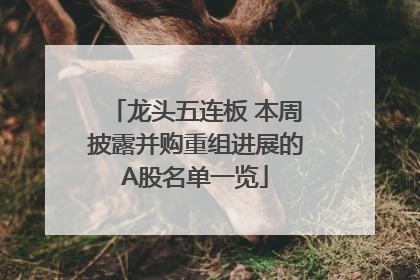 龙头五连板 本周披露并购重组进展的A股名单一览