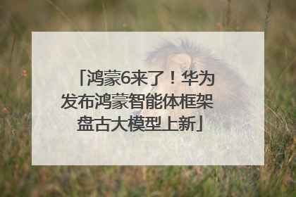 鸿蒙6来了！华为发布鸿蒙智能体框架 盘古大模型上新