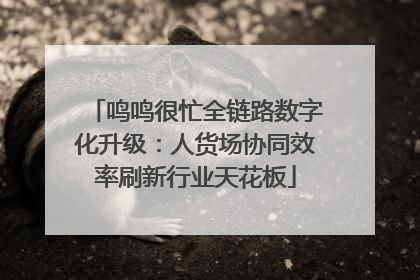 鸣鸣很忙全链路数字化升级：人货场协同效率刷新行业天花板