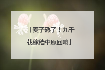 麦子熟了！九千载稼穑中原回响