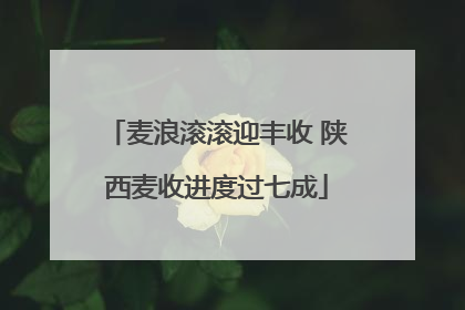 麦浪滚滚迎丰收 陕西麦收进度过七成