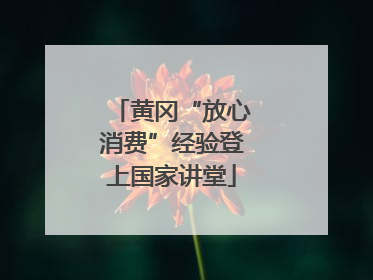 黄冈“放心消费”经验登上国家讲堂