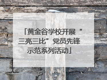 黄金谷学校开展“三亮三比”党员先锋示范系列活动