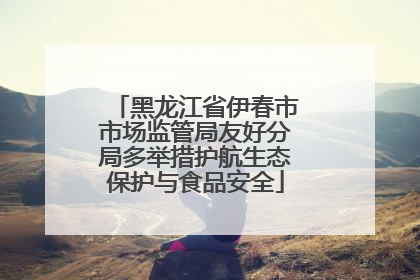 黑龙江省伊春市市场监管局友好分局多举措护航生态保护与食品安全
