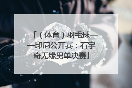 （体育）羽毛球——印尼公开赛：石宇奇无缘男单决赛