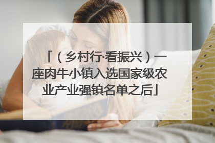 （乡村行·看振兴）一座肉牛小镇入选国家级农业产业强镇名单之后