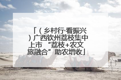 （乡村行·看振兴）广西钦州荔枝集中上市 “荔枝+农文旅融合”助农增收