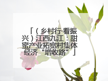 （乡村行·看振兴）江西九江：甜蜜产业拓宽村集体经济“增收路”